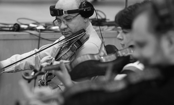 Violins-13