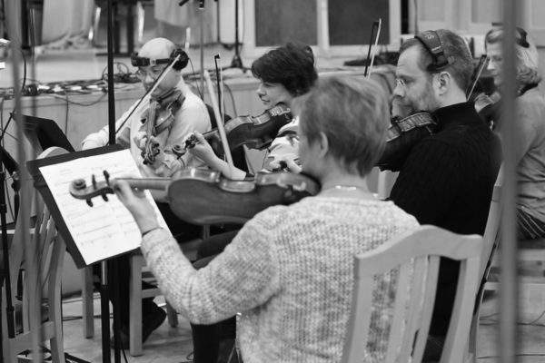 Violins-17
